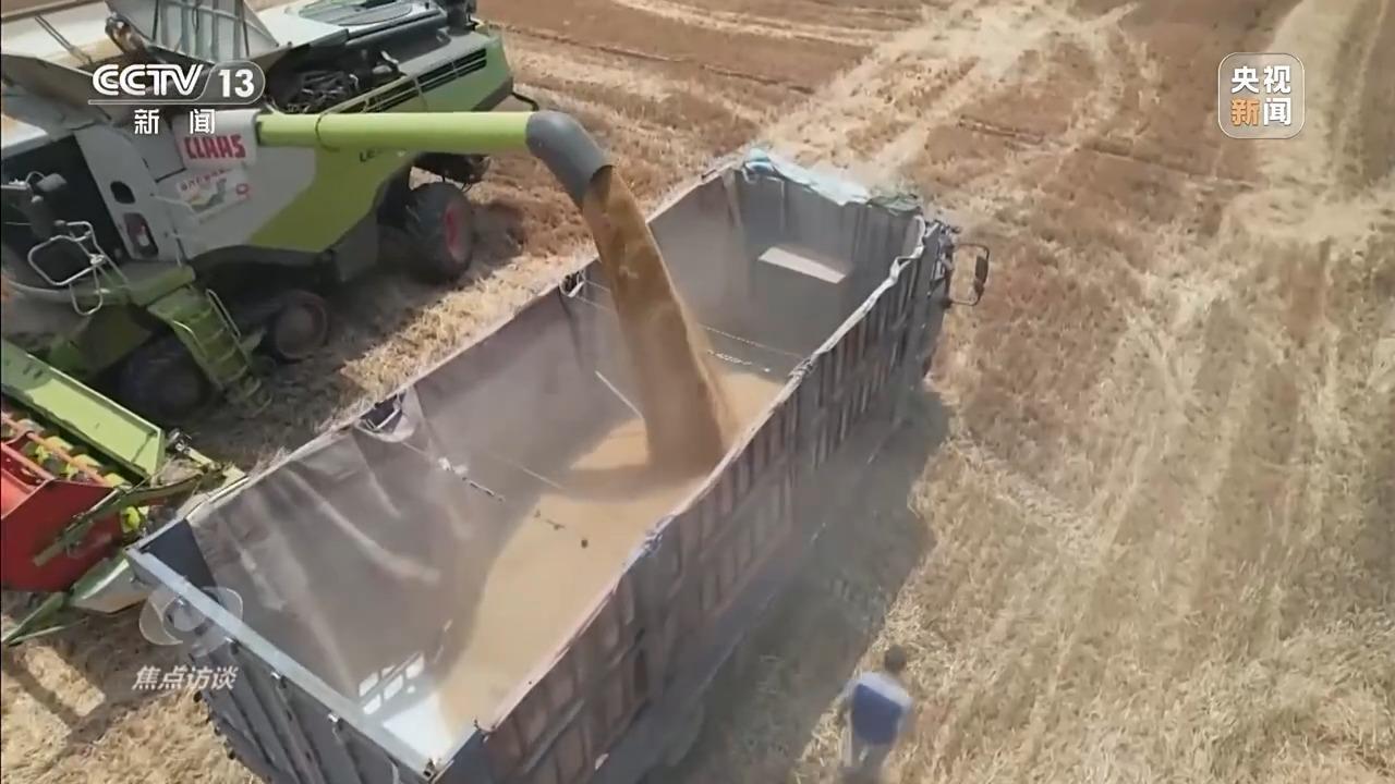 焦点访谈丨从抗旱到抢收 解读粮食增产背后的“密码”
