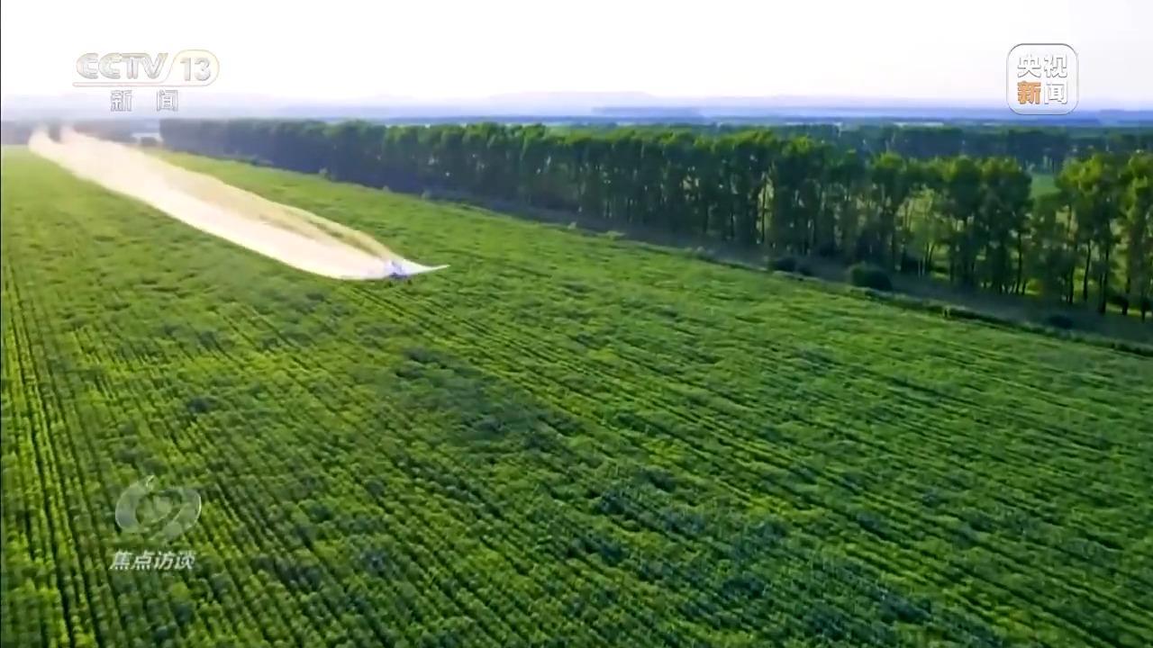 焦点访谈丨从抗旱到抢收 解读粮食增产背后的“密码”