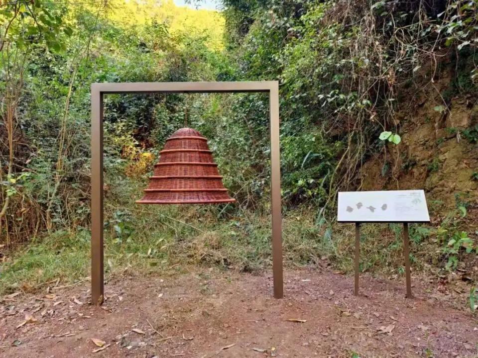 深圳龙岗桐基山郊野径“自然美学线”开通 打造生态休闲新地标